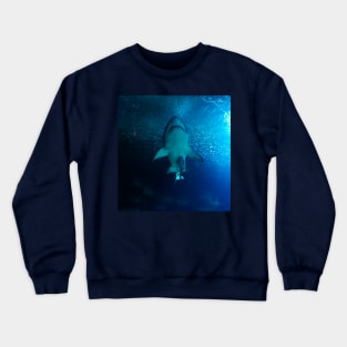 Sharks Crewneck Sweatshirt